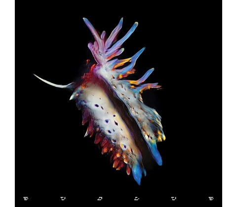 Sub Focus - Evolve CD