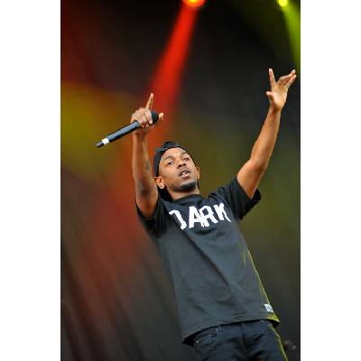 C Brandon Plagát, Obraz - V Festival 2013 - Day 2, 26.7 × 40 cm