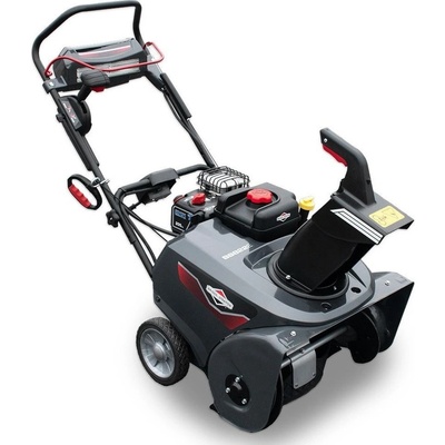 Briggs & Stratton BS822E