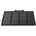EcoFlow 220W 50062001