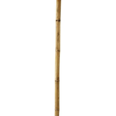Opora rastlín 3 kusy 37 x 90 cm zelená | jaks