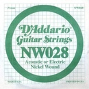 D'Addario NW 028