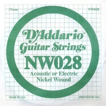 D'Addario NW 028