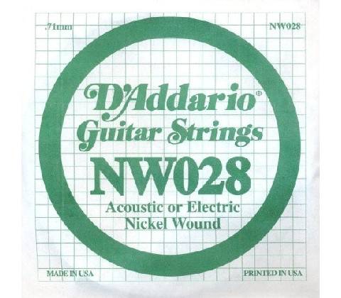 D'Addario NW 028