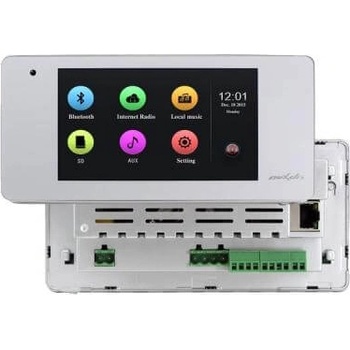 DSPPA DM838W