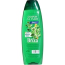 Chopa šampon Bříza 500 ml