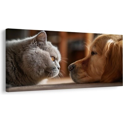 Obraz klidné setkání kočky a psa - 120x60
