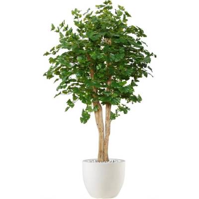 ILA Umělý strom Ginkgo Florida (200cm)