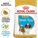 Royal Shih Tzu Puppy 1,5 kg
