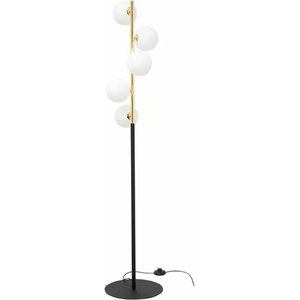 Zuma Line Ali 5649
