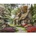 NORIMPEX Painting by numbers House 40 x 50 5561