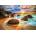 Trefl - Puzzle Samudra Beach, India - 1 000 piese