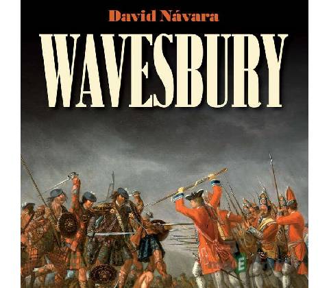 Wavesbury - David Návara