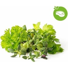 Click and Grow Mix Steak&Grill, kapsule so semienkami a substrátom 9ks