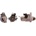 LCE-LRS02596