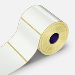 CDRmarket Самозалепващи етикети 50x100 мм, 500 бр. , хартиени за TTR, ролка (T050x100/0500)