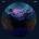 ELDER: LORE LP