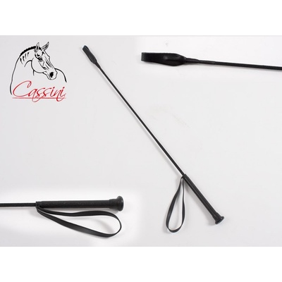 Cassini Bičík standard s poutkem – Hledejceny.cz