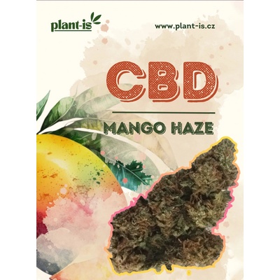 Plant-is Mango Haze květy CBD 18% THC 0,5% 1g – Zboží Dáma