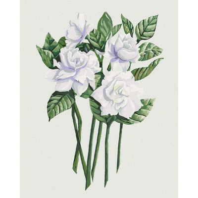 Zuty Bílé Květy Gardénie Ale x andria Gilbert 40 x 50 Cm Plátno 8596530118527