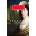 Northanger Abbey | Jane Austen