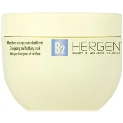 Bes Hergen B2 Maska pre farbené vlasy 400 ml