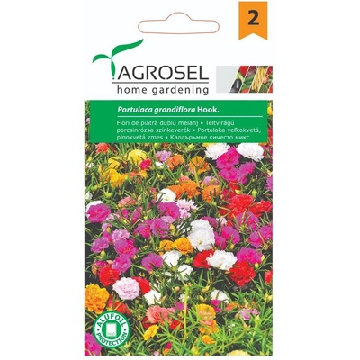 Agrosel Калдаръмче Кичесто Микс Portulaca grandiflora Hook