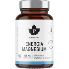 Puhdistamo Energia Magnesium Horčík 120 kapsúl