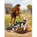 Malování podle čísel Oběd s přáteli