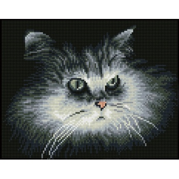 Image 1 of Diamond Dotz Коте в сянка - диамантен гоблен dq7.002