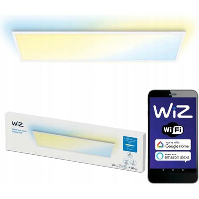 WiZ WI0066