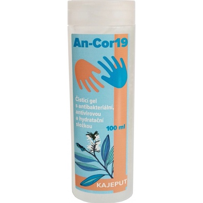 Day Spa An-cor19 s antibakteriální antivirovou a hydratační složkou s alkoholem 100 ml