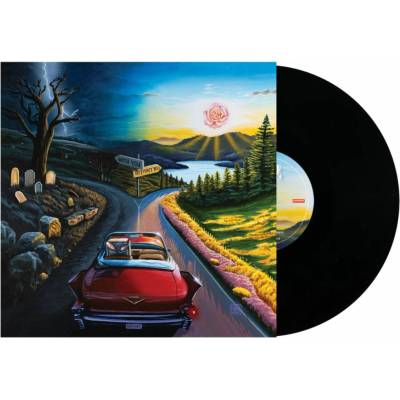 Haywire 617 - I Don't Wanna Say Goodbye LP