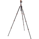 3 Legged Thing Punks Travis