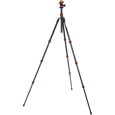 3 Legged Thing Punks Travis