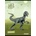 Eurocom Тетрадка Street, А4, бели листа, 54л, ВАР (30031-А-DINOSAURS)