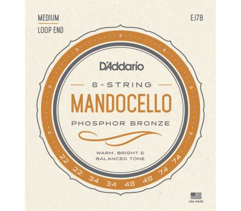 D'Addario EJ78