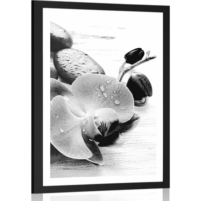 Plakát s paspartou kouzelná souhra kamenů a orchideje v černobílém provedení - 40x60 no frame