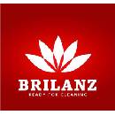 Brilanz Economy zmeták s talianskym závitom červenohnedý 32 cm