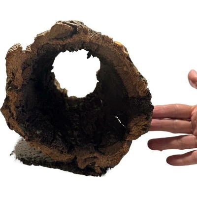 Repter Korková kůra 23 25 x 17 cm