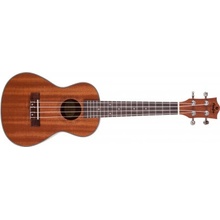 Prodipe Guitars BC2