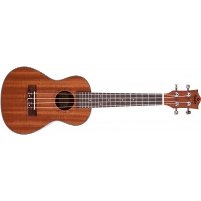 Prodipe Guitars BC2