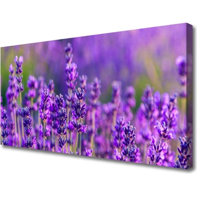 Obraz Canvas Pole fialová levanduľa 100x50 cm