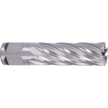 !!!! ABSE N-HS-W19-0190050