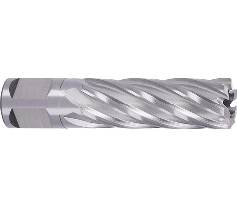 ABSE N-HS-W19-0190050