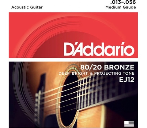 D'addario EJ12