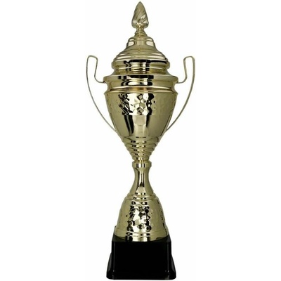 Zlatý pohár s vekom 66,5 cm