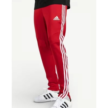 Adidas Tiro 19 Pants Red