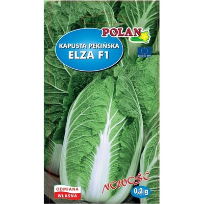 Kapusta BRASSICA RAPA semená 0,2 g