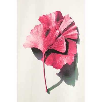 Won Hundred Памучна тениска Won Hundred (3521.12074)